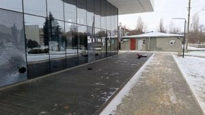 Украинские боевики обстреляли мирных жителей Новой Каховки в Херсонской области.