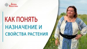 Как понять назначение и свойства растения | Арина Никитина