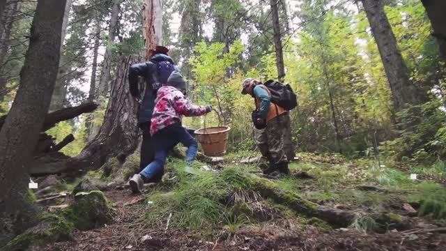 Сибирское Микологическое Общество: видео-анонс