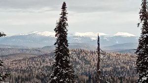 ПРОВЕРКА ПУТИКОВ С НОЧЛЕГОМ В ИЗБЕ, УСТАНОВКА КАПКАНОВ НА ВОРОВКУ.