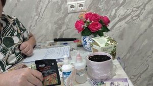 В чём замочить семена, для быстрого прорастания, для стимуляции и для дезинфекции.