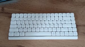 Vaiver Leaf V2