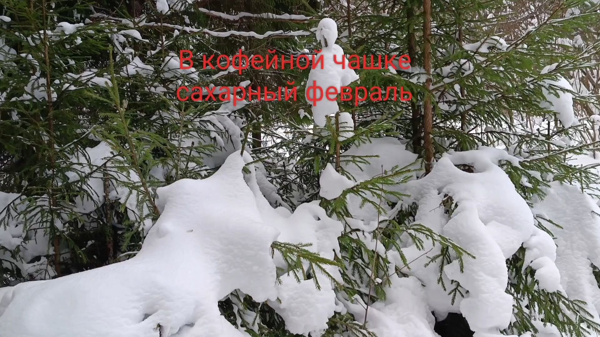 В кофейной чашке сахарный февраль