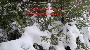 В кофейной чашке сахарный февраль