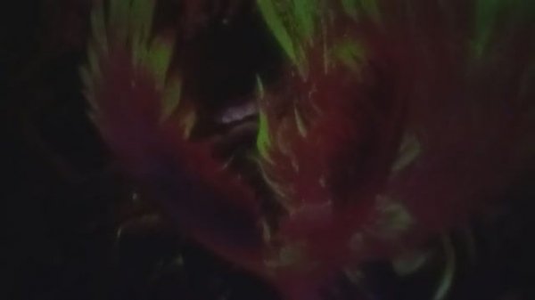 ТАЙЛАНД. ПАТТАЙЯ.PADO MEDIA ART SPACE. ИНТЕРАКТИВНЫЕ КОМНАТЫ