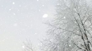 "Зимним ненастьем объяты просторы..." Автор слов Зинаида Горшкова