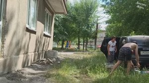 Встречаем гостей.Шинковка моркови.Гребёнка на окно