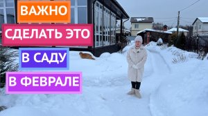 ОСНОВНЫЕ РАБОТЫ В САДУ В ФЕВРАЛЕ!