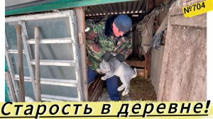 Как живут пенсионеры в сибирской деревне. Будни и заботы. Идём помогать тестю.
