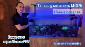 Морской аквариум: новые кораллы. Аквариуму уже 1 месяц🎂