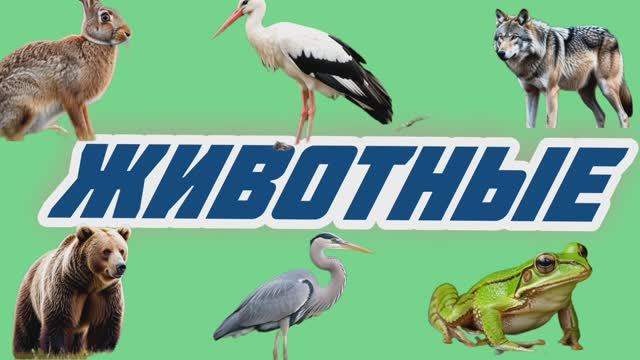 ЖИВОТНЫЕ И ПТИЦЫ. ЗВУКИ. РАЗВИВАЮЩЕЕ ВИДЕО ДЛЯ ДЕТЕЙ. смотреть онлайн