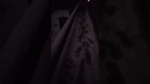 Снег в Ялте и прогулка в Озон 3.02.2026