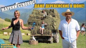 ЗАГОТОВКА СЕНА И ДОЛГОЖДАННАЯ ВСТРЕЧА! КТО ЖЕ ЭТОТ ДОЛГОЖДАННЫЙ ГОСТЬ?! ДЕРЕВЕНСКИЕ БУДНИ В ТУРЦИИ