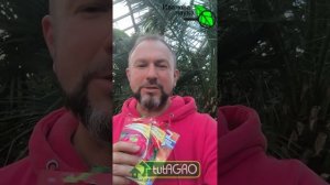 Не торопитесь с посевом перца! Сею попозже, а рассада супер! Как ускорить развитие рассады.