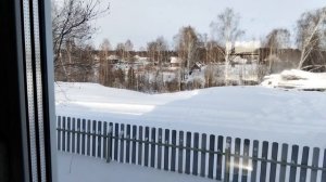 Вид из окна. Начало февраля