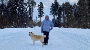 Прогулка к санаторию " СОСНОВЫЙ БОР".