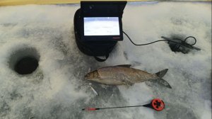 Подводные съёмки с крайней рыбалки.