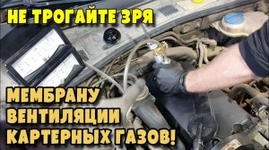 Не лезьте зря в вентиляции картерных газов! Volkswagen Passat B5 Рестайлинг 1 9D UIS PDE 2003г