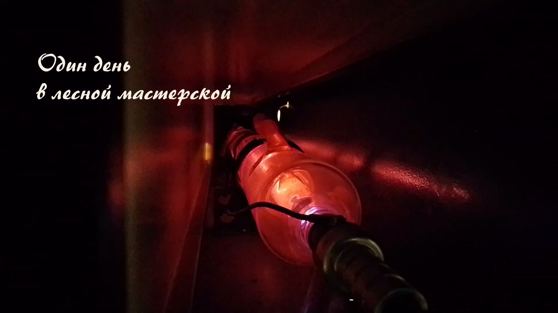 День в лесной мастерской | Уборка, заказы | Архив от августа 2025