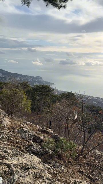 Лучшая смотровая Крыма! Смотровая в Алупке на горной тропе. Крым 2026 #крым2026 #крымсегодня #алупка смотреть онлайн