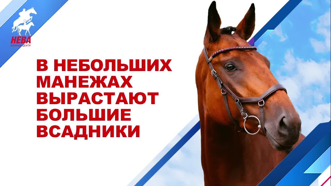 AI GOLD RADIO! смотреть онлайн