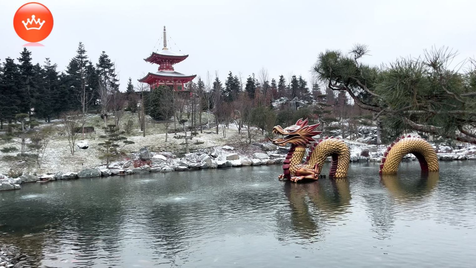 Парк Галицкого и пушистый вымогатель орехов. 🌲Японский сад Февраль 2026. смотреть онлайн