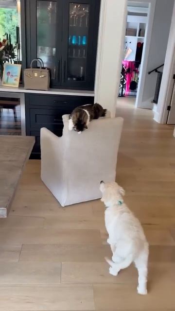 Весёлые покатушки смотреть онлайн