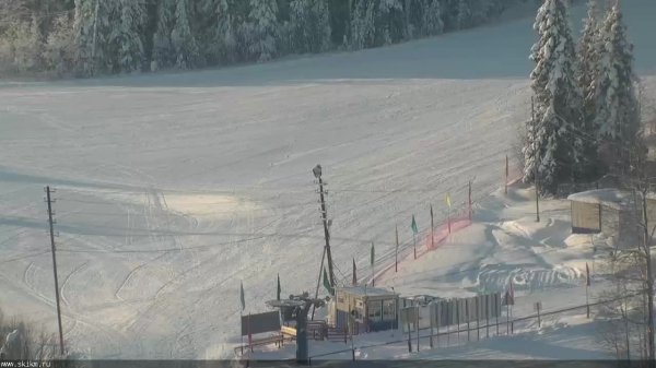 LIVE: channel39463803