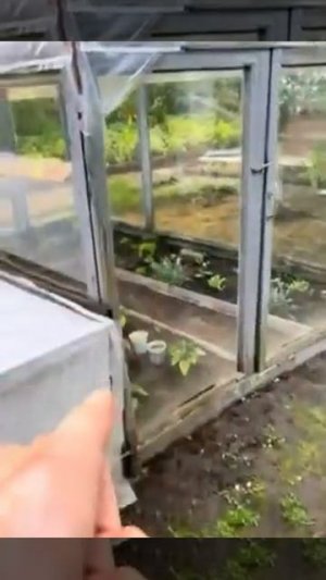 Дача - это место отдыха