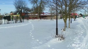 Должанская зимой