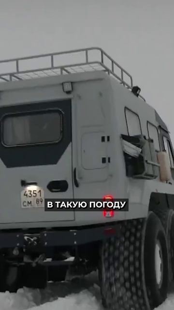 📍На Ямале стоят сорокоградусные морозы #новости #янао смотреть онлайн