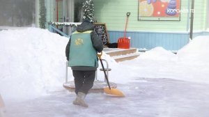 Морозная уборка: в Королёве провели зимний субботник