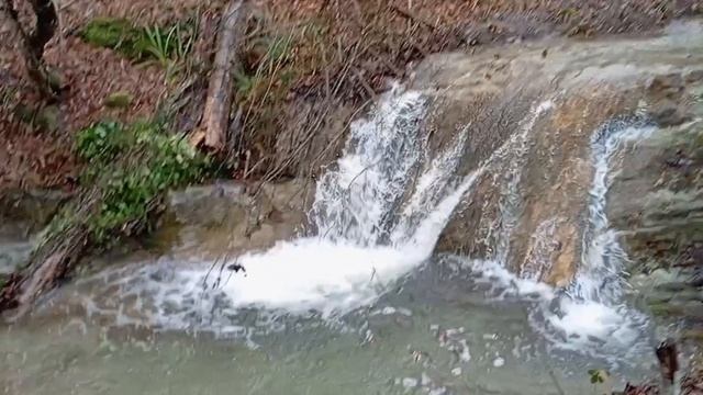 К водопаду Гейзер. 31.01.26. смотреть онлайн