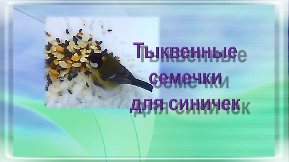 Тыквенные семечки для синичек