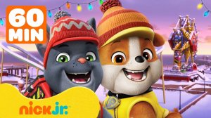 Крепыш и команда | лучшие моменты 1 сезона с Гончиком, Чарджером и Уилером | Nick Jr. Cyrillic