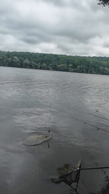 На амура самое то смотреть онлайн