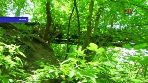 Губернские новости. 3.02.2026