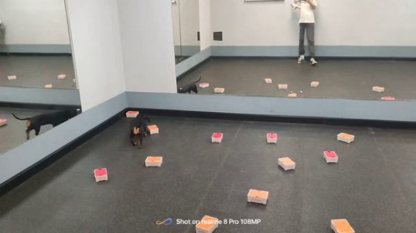 ноузворк. такса