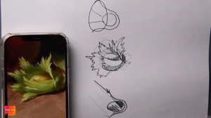 СЕКРЕТ ХУДОЖНИКА. Надежда Ильина. Анализ формы фундука