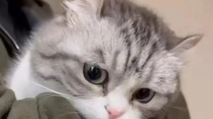 спасибо за 100 подписчиков :)