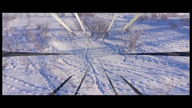 ТУНДРА В ФЕВРАЛЕ. ВОРКУТА. смотреть онлайн