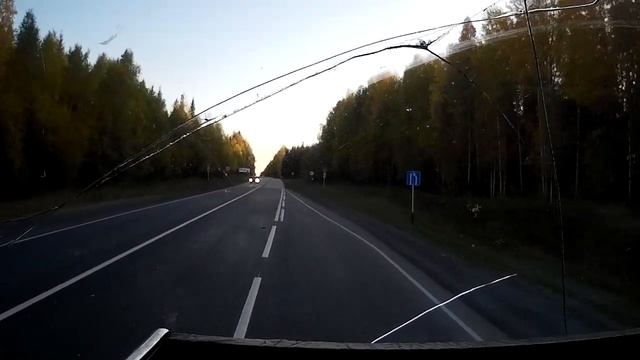 Авария. Сбили лося. смотреть онлайн