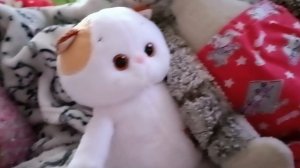 СОНЯ И ЛИЛИ ПОСПОРИЛИ ЧЬЯ СОБАКА!!!