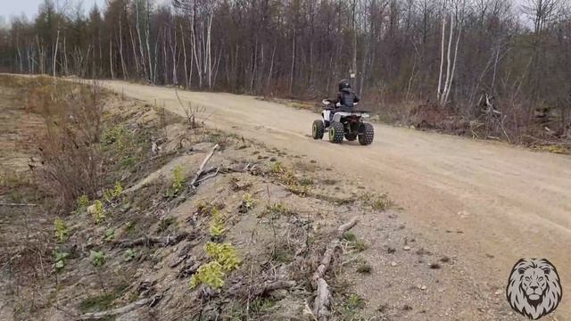 Гонки на квадроциклах