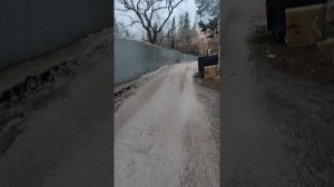 Утренняя дождливая погода и прогулка в Ялте 2.02.2026