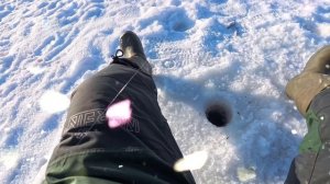 Как поймать плотву зимой