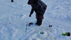 Поимка Форели