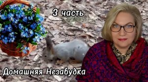 3 часть. Нет ❌️ денег, нет ❌️восхищения❗️