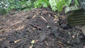 СВО 2023.07.29.На высоте возле Новоегоровки.