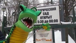 Прогулка по зимнему  Петербургу